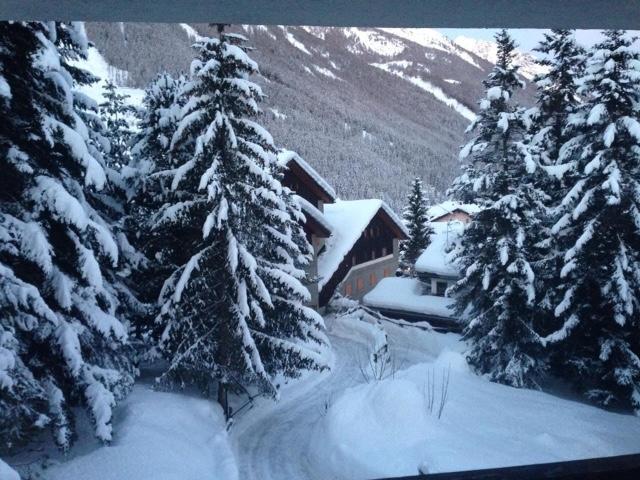 Appartamento Borealis Cogne Exterior foto